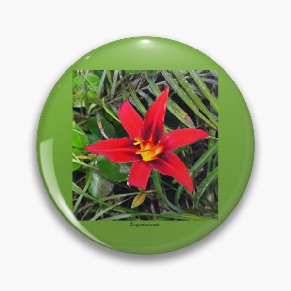 Item preview, Explosion 2 flowers leaves lily star ipomea palm phoenix background blue green red nature designed and sold by dragonemma.