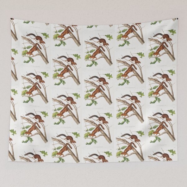 Item preview, Soft Haired Squirrel - John James Audubon designed and sold by Vintage Designs +.