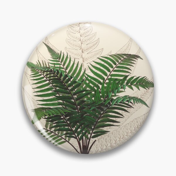 Item preview, Vintage botanical illustration - Asplenium attenuatum - fern family designed and sold by Gardenlibrary.