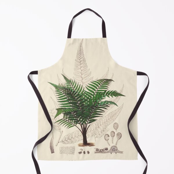 Item preview, Vintage botanical illustration - Asplenium attenuatum - fern family designed and sold by Gardenlibrary.