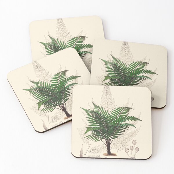 Item preview, Vintage botanical illustration - Asplenium attenuatum - fern family designed and sold by Gardenlibrary.