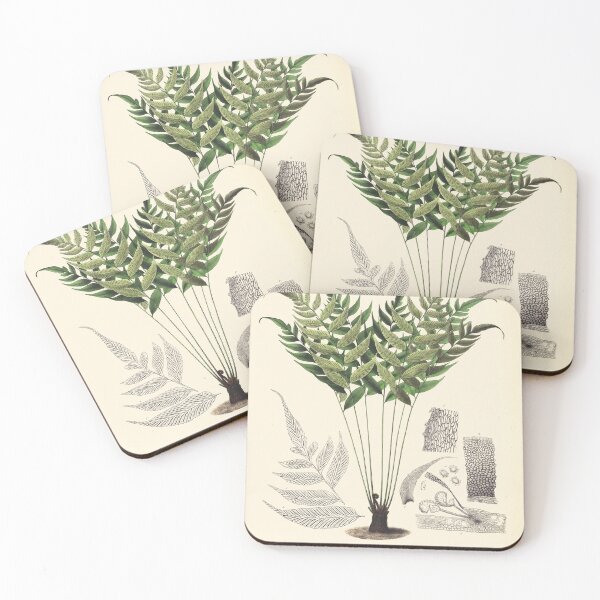 Item preview, Vintage botanical illustration - Asplenium ocanniense - fern family designed and sold by Gardenlibrary.