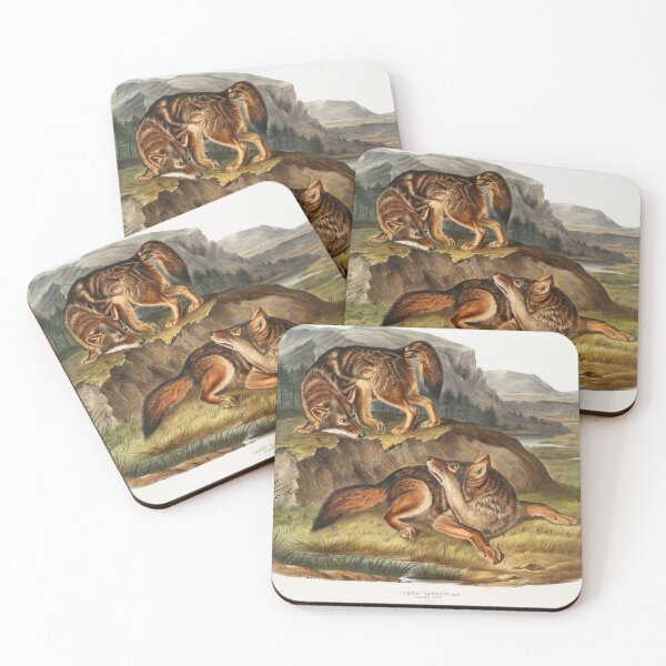 Item preview, Prairie Wolf - John James Audubon designed and sold by Vintage Designs +.