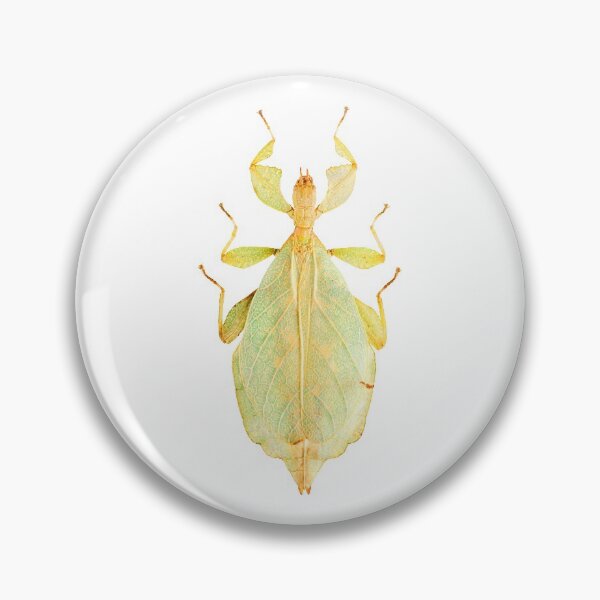 Item preview, Leaf Insect (Phyllium gardabagusi) designed and sold by Tim Christensen.