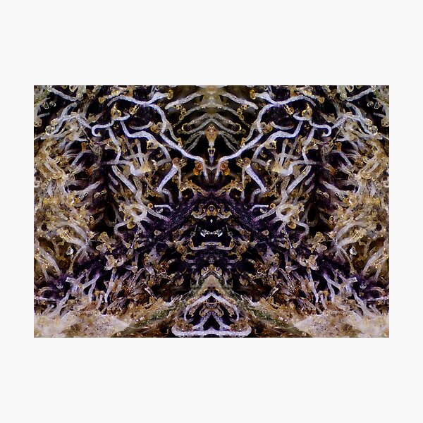 Diamond OG Micrography Mirrored Photographic Print