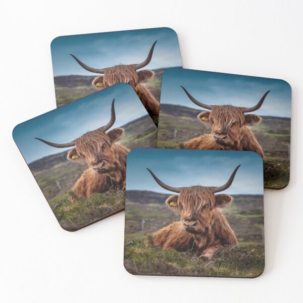 Artikelvorschau, Highland coo entworfen und verkauft von Md1982.