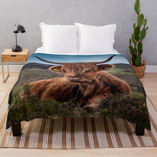 Artikelvorschau, Highland coo entworfen und verkauft von Md1982.