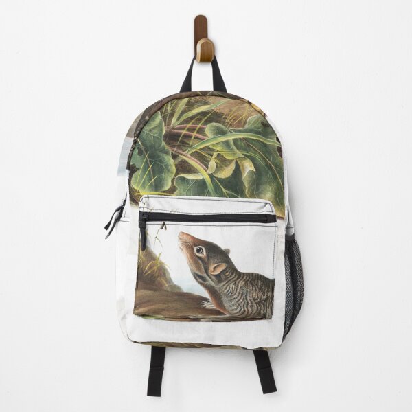 Item preview, Large Tailed Spermophile - John James Audubon designed and sold by Vintage Designs +.