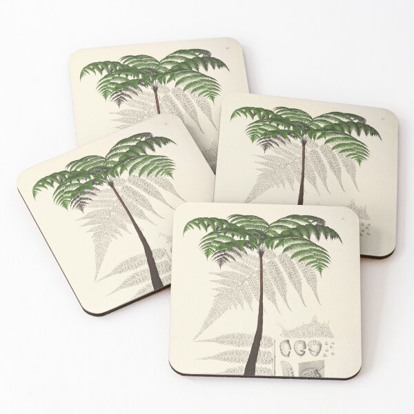 Item preview, Vintage botanical illustration - Hemitelia servitensis - Tree fern family designed and sold by Gardenlibrary.