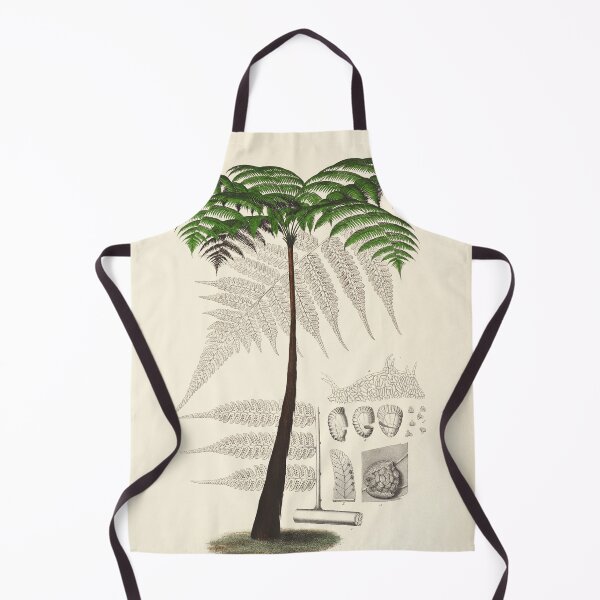 Item preview, Vintage botanical illustration - Hemitelia servitensis - Tree fern family designed and sold by Gardenlibrary.