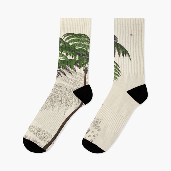 Item preview, Vintage botanical illustration - Hemitelia servitensis - Tree fern family designed and sold by Gardenlibrary.