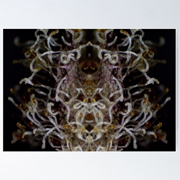 Diamond OG #2 Micrography Mirrored Poster