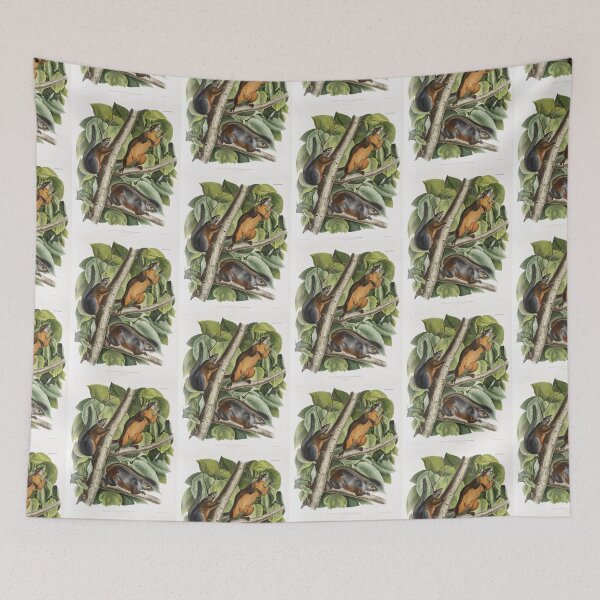 Item preview, Red Bellied Squirrel - John James Audubon designed and sold by Vintage Designs +.