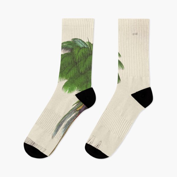 Item preview, Vintage botanical illustration - Jessenia Polycarpa - Tree fern family designed and sold by Gardenlibrary.