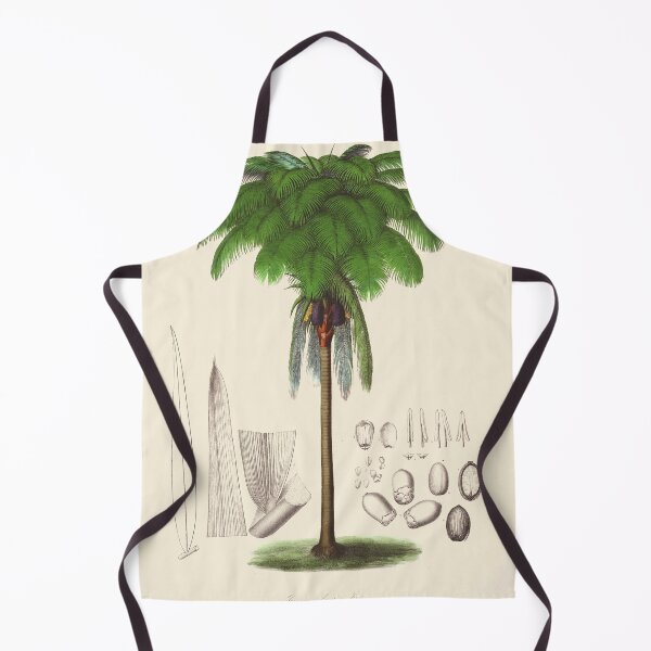 Item preview, Vintage botanical illustration - Jessenia Polycarpa - Tree fern family designed and sold by Gardenlibrary.