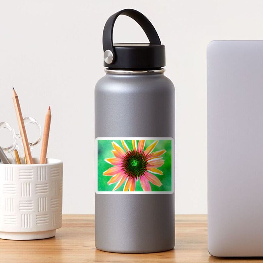 Neon Coneflower Sticker
