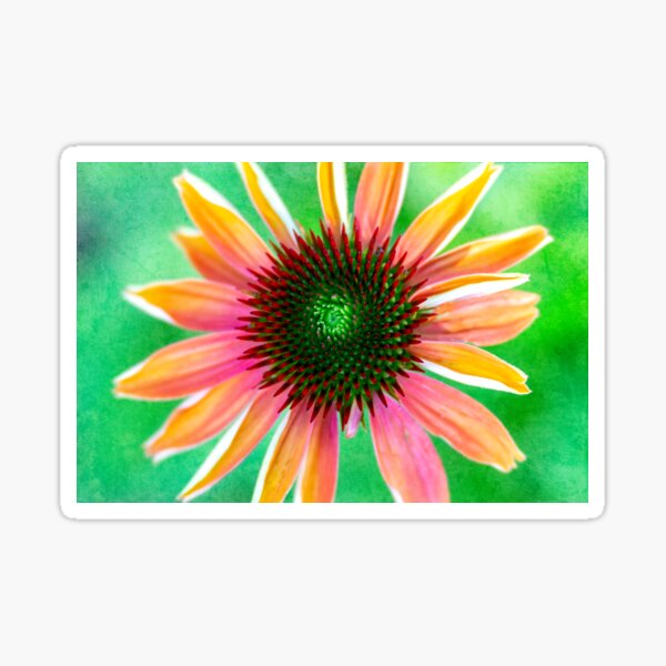 Neon Coneflower Sticker