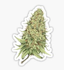 Cannabid Bud Sticker