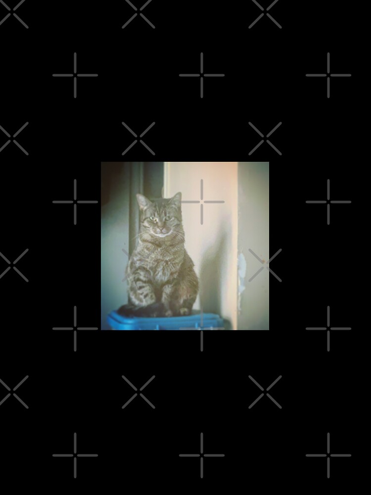 Thumbnail 7 of 7, Oversized T-Shirt, Gray cats designed and sold by festive-ginger.