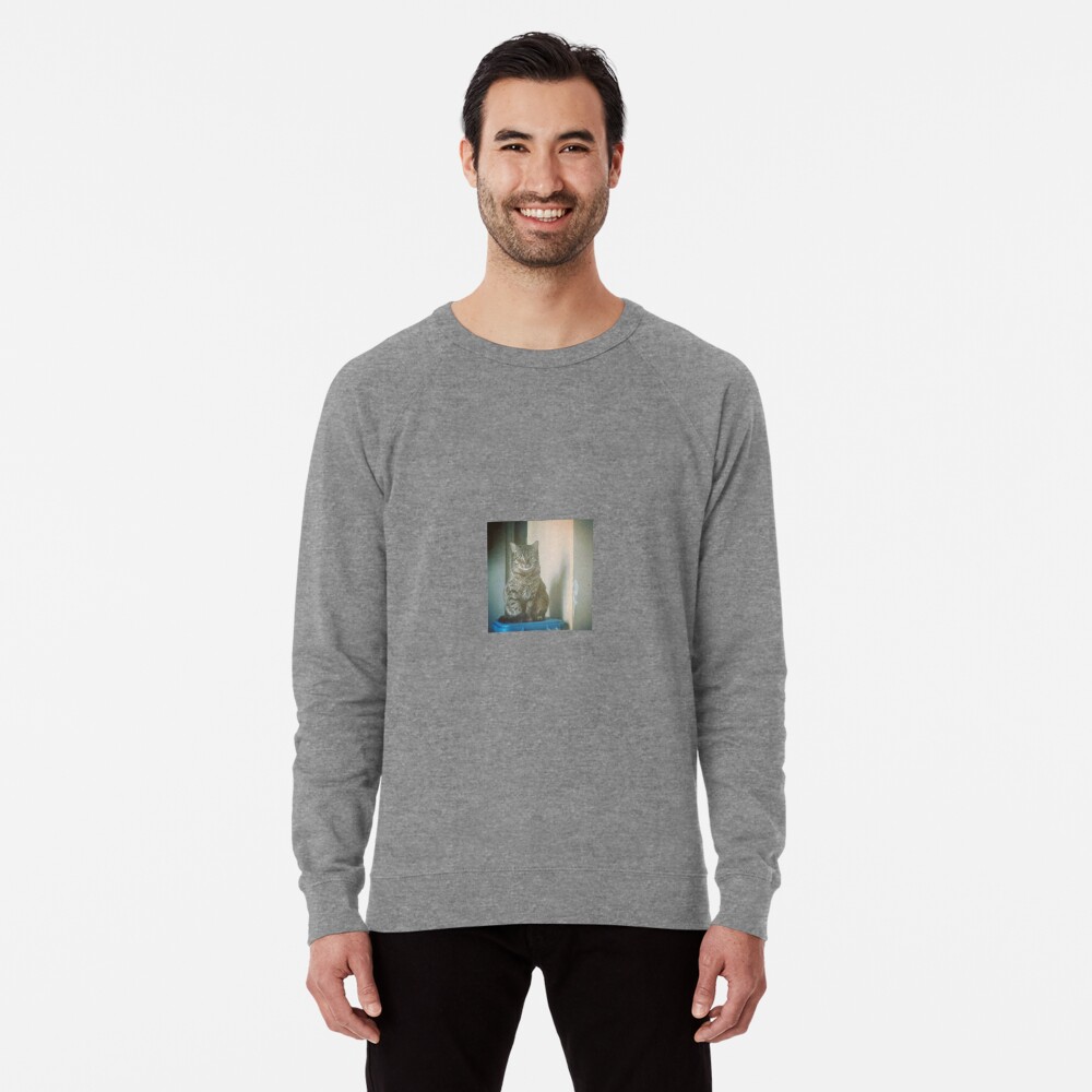 Item preview, Lightweight Sweatshirt designed and sold by festive-ginger.