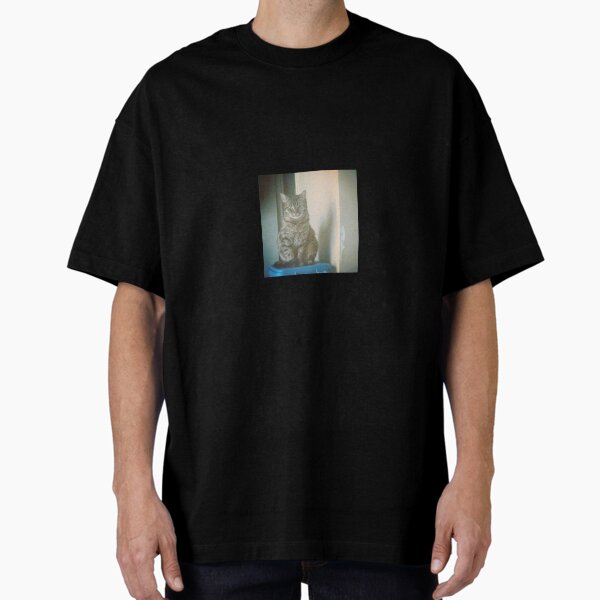 Gray cats Oversized T-Shirt