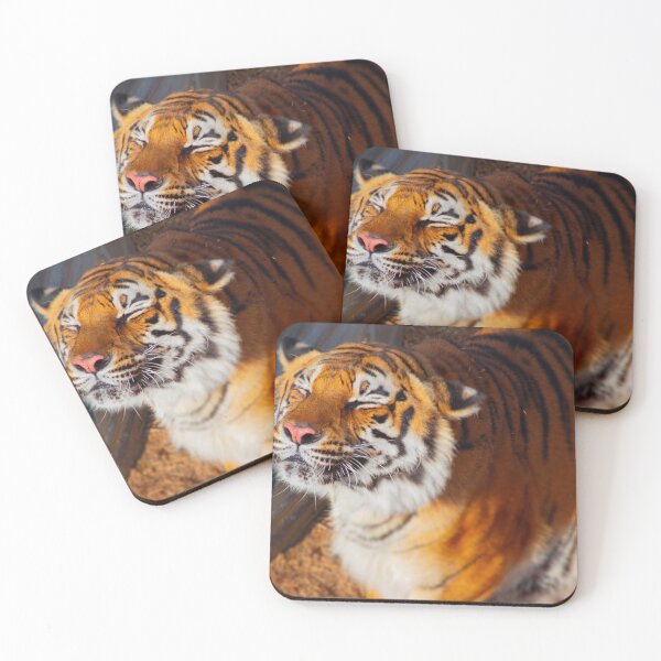 Item preview, Bathe designed and sold by KazzaKphotos.