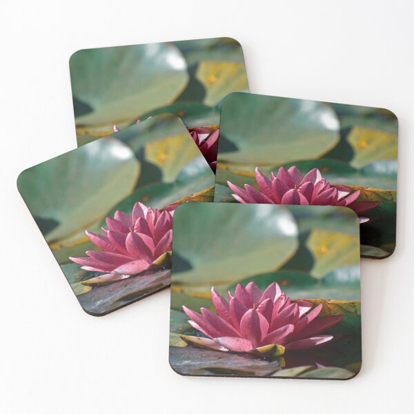 Item preview, Water Lily designed and sold by didssph-prints.