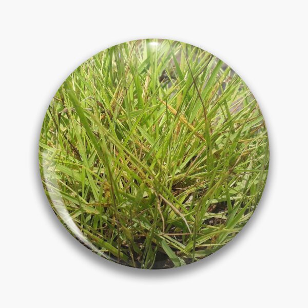 Item preview, Green Grassland designed and sold by PriyanDecor.