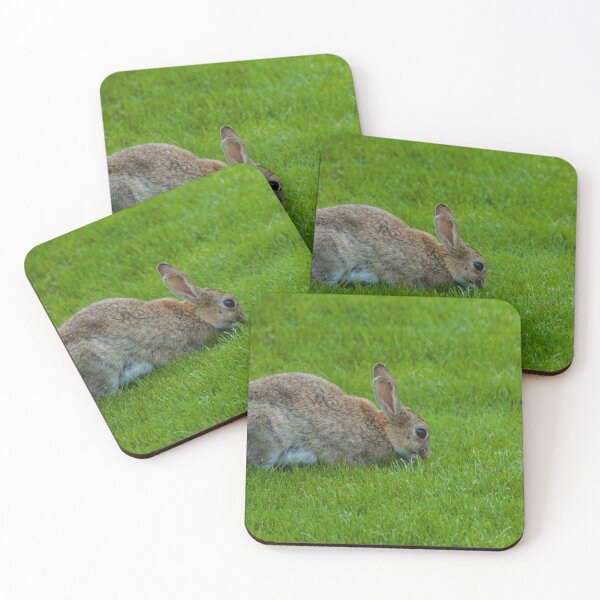 Item preview, Wild Rabbit designed and sold by JoshuaSpurrier.