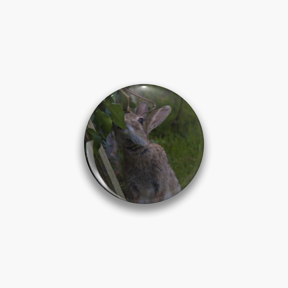 Item preview, Pin designed and sold by JoshuaSpurrier.
