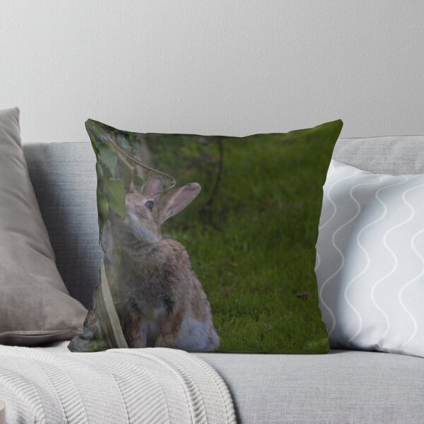 Item preview, Welsh WIld Rabbit designed and sold by JoshuaSpurrier.