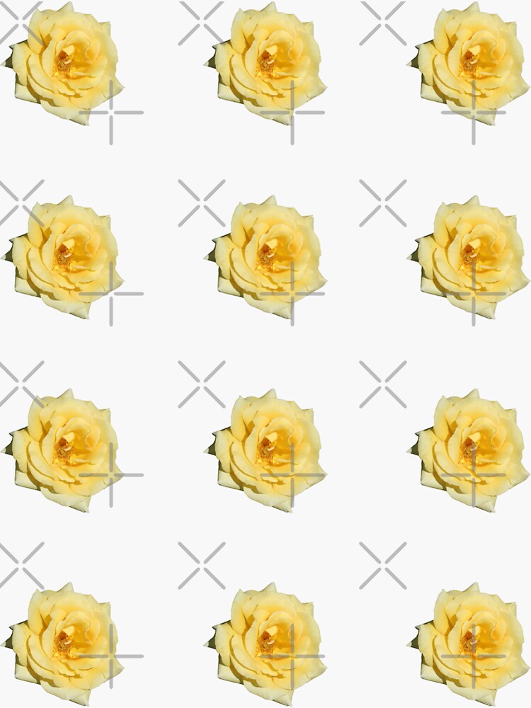 Yellow Rose by STHogan
