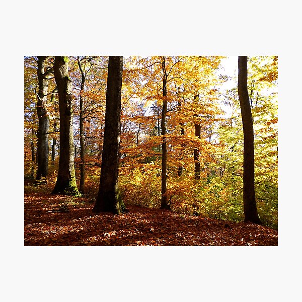 Item preview, Autumn walk designed and sold by LeRoyM.