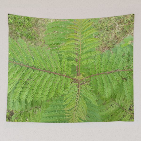 Item preview, Green Leafs  designed and sold by PriyanDecor.