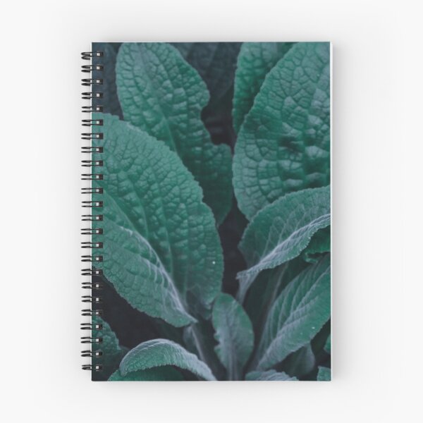 Item preview, Green Velvety Leaves designed and sold by didssph-prints.