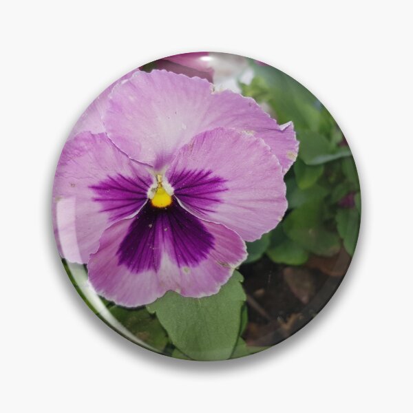 Item preview, pansy - botanical art, nature photo designed and sold by kosarandrea.