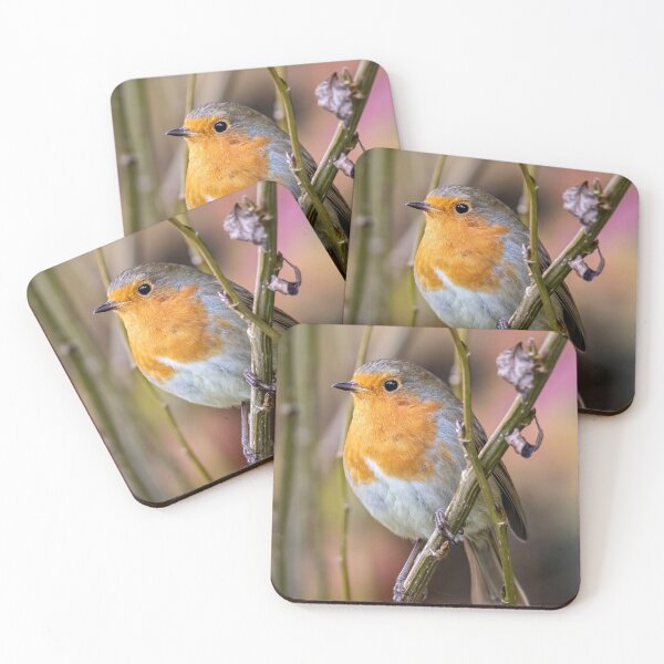 Item preview, A friendly Robin  designed and sold by PhotographMassa.