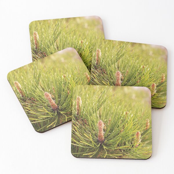 Item preview, Pine Cones designed and sold by NatureBrushbyMariela.