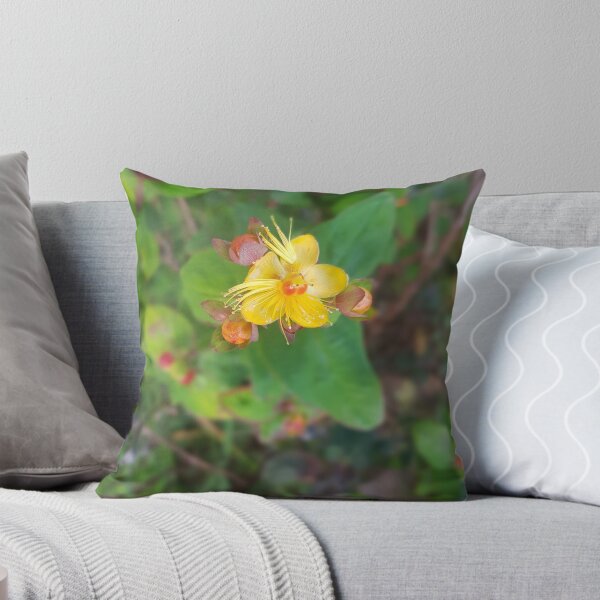 Item preview, yellow flower: nature photo designed and sold by kosarandrea.
