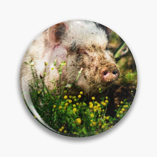 Item preview, Like a Pig in Mud designed and sold by Shannon Bosley.