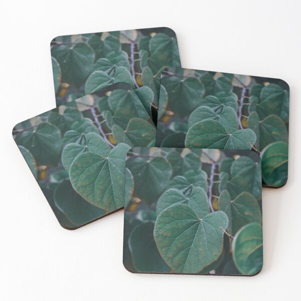 Item preview, Aligned Leaves on a Tree Branch designed and sold by didssph-prints.