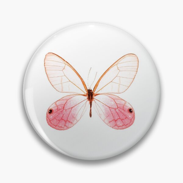 Item preview, Blushing Phantom Butterfly (Cithaerias aurorina) designed and sold by Tim Christensen.