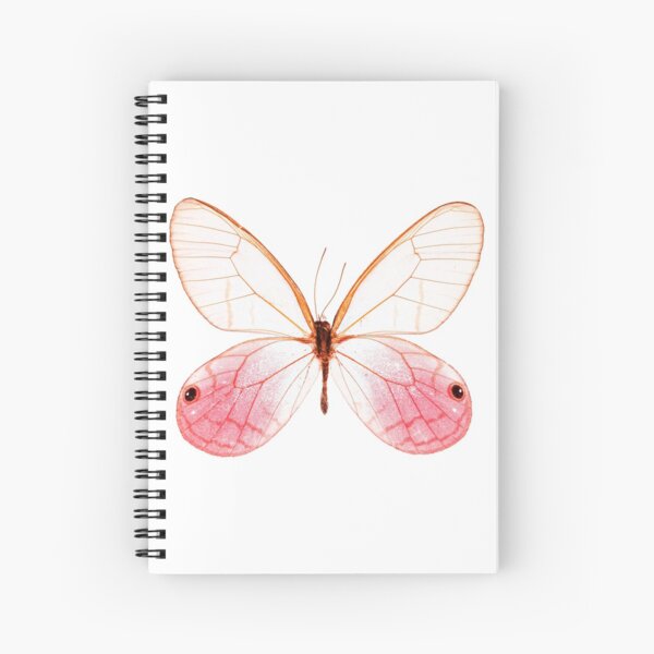 Blushing Phantom Butterfly (Cithaerias aurorina) Spiral Notebook