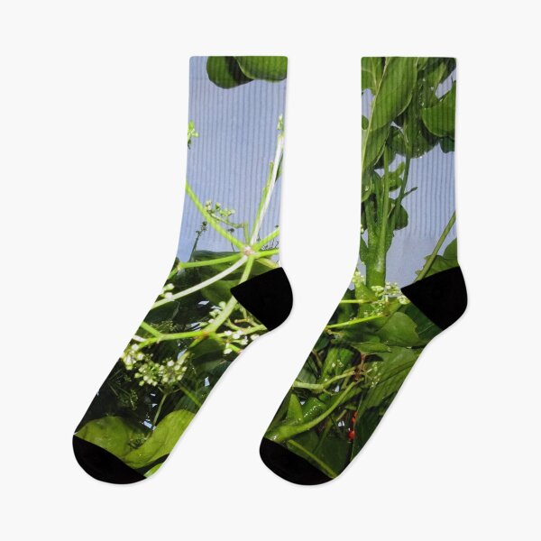 Item preview, Beautiful Green Plant Buds and Leaves designed and sold by StayCuztom.