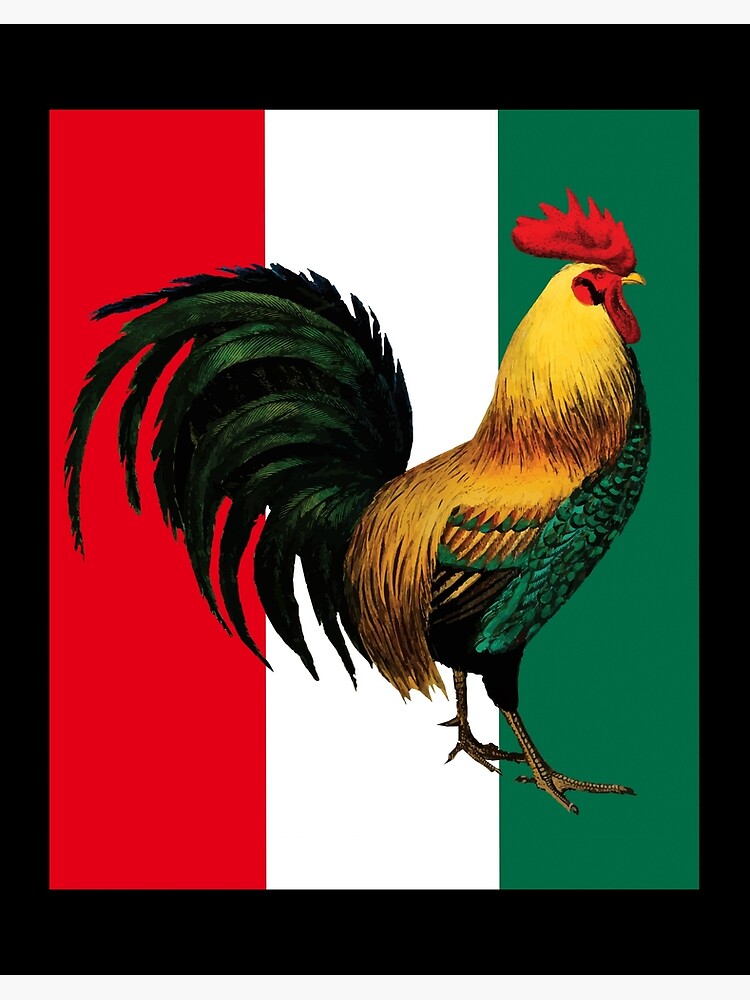 Mexican Cock Fight Game Fowl Gallero