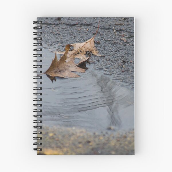 Item preview, Leaves in Puddle designed and sold by consolecadet.