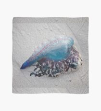 Portuguese Man o' War Scarf