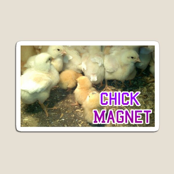 Chick Magnet w/ Caption Magnet