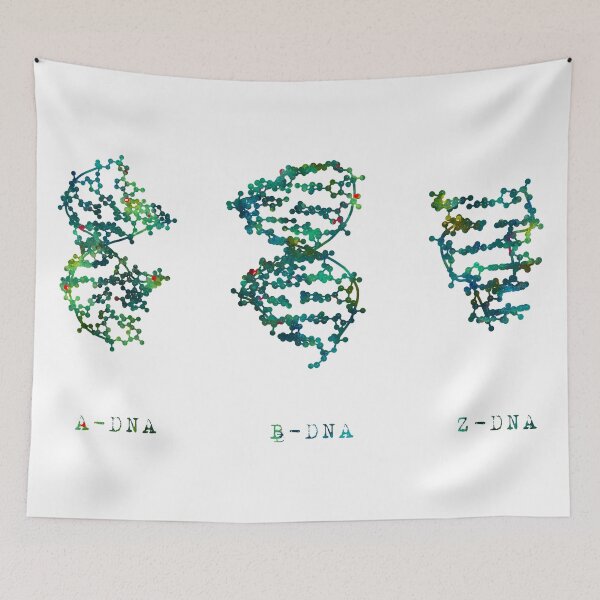 Item preview, A-DNA, B-DNA, Z-DNA Chains designed and sold by EvasDreams.