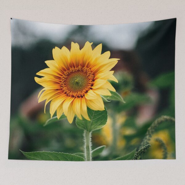 Item preview, A Sunflower Galaxy designed and sold by coolmerchplanet.
